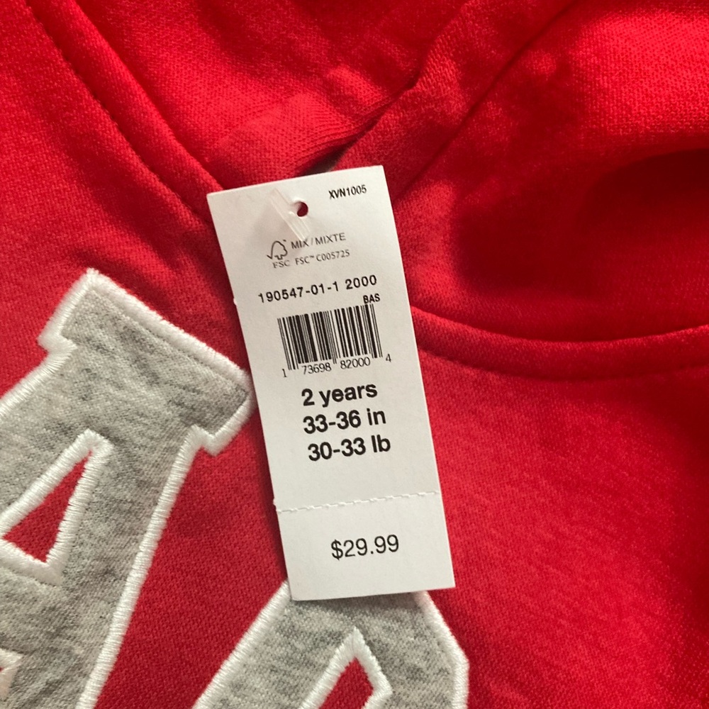 Boys GAP Hoodie - Picture 2 of 2
